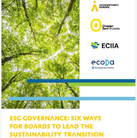 ESG governance: six ways for boards to lead the sustainability transition