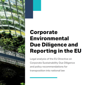 Corporate Environmental Due Diligence and Reporting in the EU