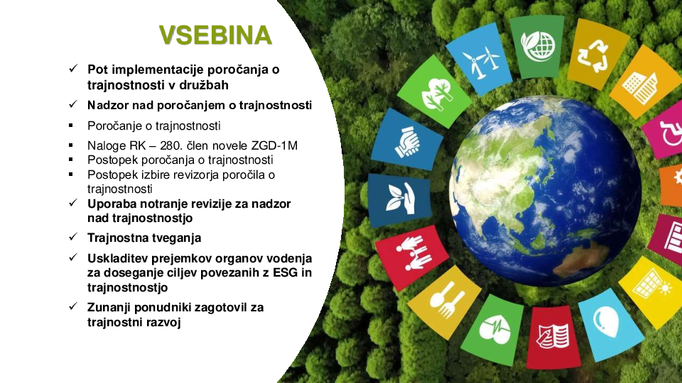 Upravljanje ESG in trajnostnosti - razvoj kompetenc za nadzornike: Procesi dela v NS in komisijah