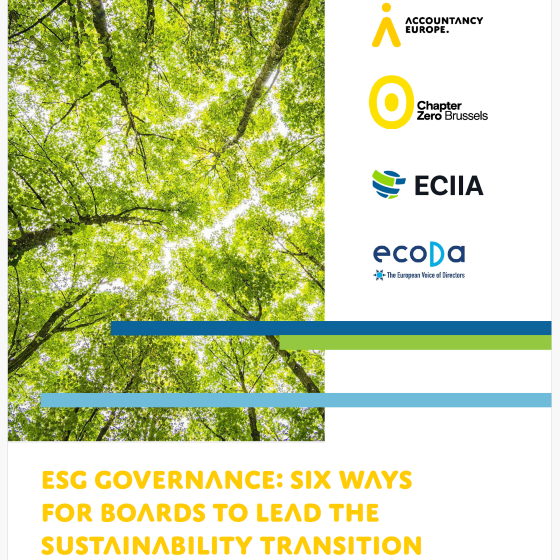 ESG governance: six ways for boards to lead the sustainability transition