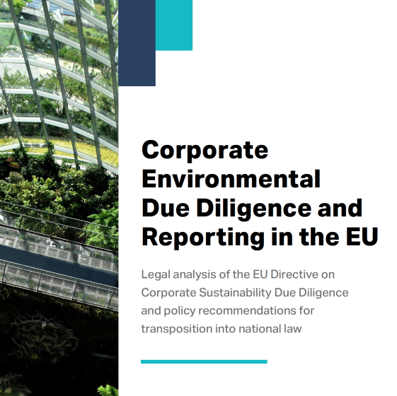 Corporate Environmental Due Diligence and Reporting in the EU