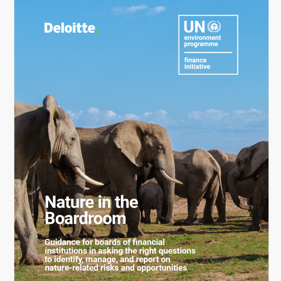 Nature in the Boardroom